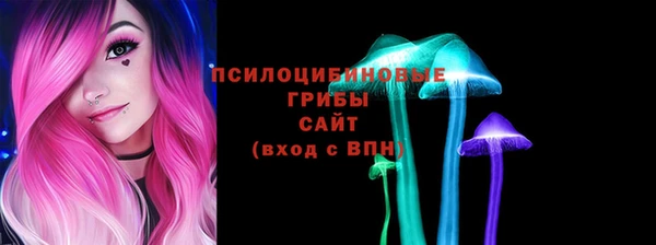 ECSTASY Бронницы