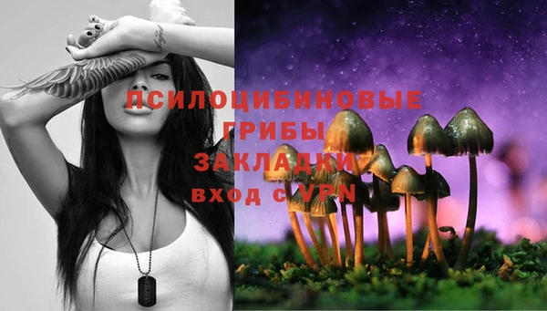 ECSTASY Бронницы