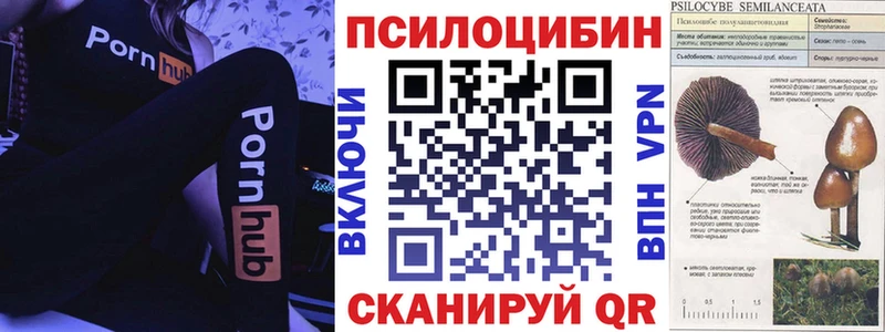 наркотики  Карпинск  Псилоцибиновые грибы мухоморы 